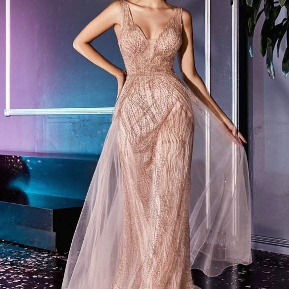 Tulle Over Skirt A-line Dress CNCD0152